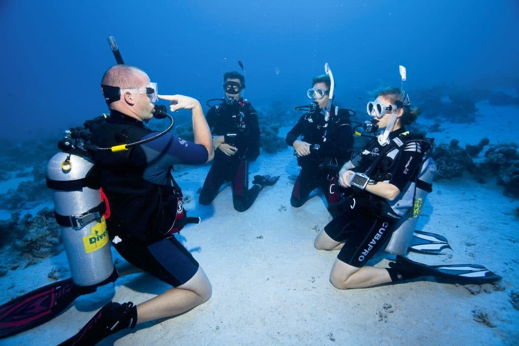 UNDERWATER ACTIVITY TOURS