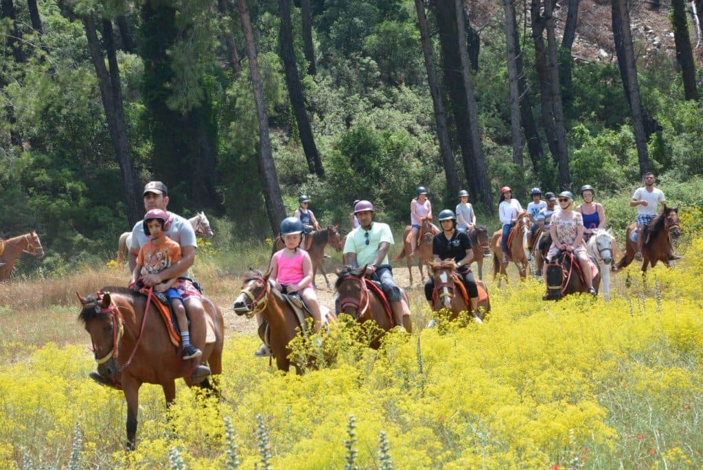 HORSE RIDING TOURS